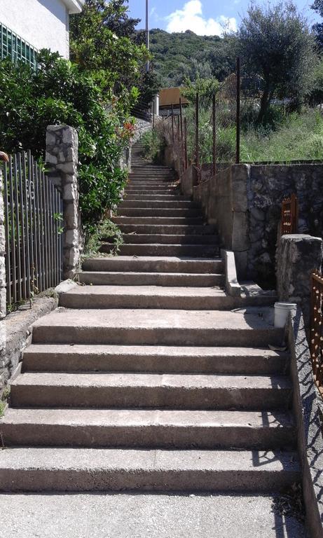 Apartman Marinkovic Dobra Voda Luaran gambar