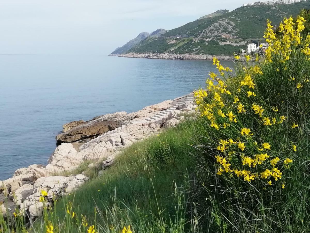 Apartman Marinkovic Dobra Voda Luaran gambar
